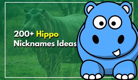 200+ Hippo Nicknames That Will Make You Smile