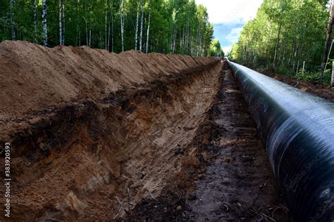 Crude oil and Natural gas pipeline construction work in forest area. Installation the ...