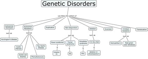 Genetic Disorders - Grade 11 U Biology