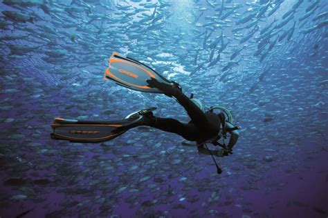 Best Snorkel & Scuba Fins - 2018 Buyer's Guide | The Adventure Edge