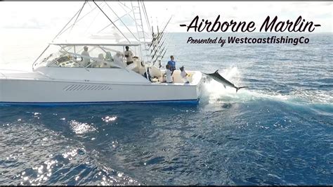 World's best Blue Marlin Fishing | West Coast Fishing Co - YouTube