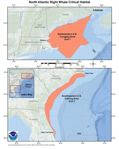 North Atlantic Right Whale Critical Habitat Map and GIS Data | NOAA Fisheries