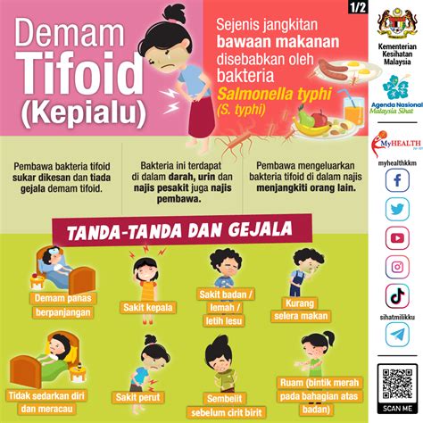 Simptom dan Rawatan Demam Tifoid (Kepialu) - SisRasa