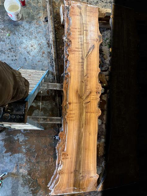 Elm Wood Slabs - Bluestone Organic