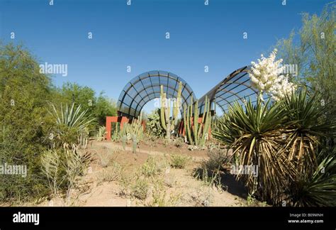 Phoenix Botanical Garden Arizona USA Stock Photo - Alamy