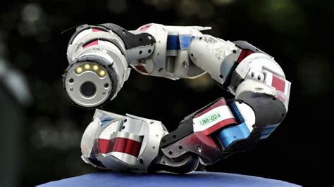 Let a Snake-Inspired Robot Be Your Hero Today | NOVA | PBS