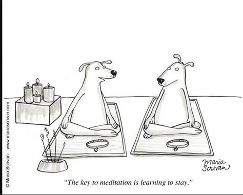 Very Joe & Bullish: Zen cartoon of the day