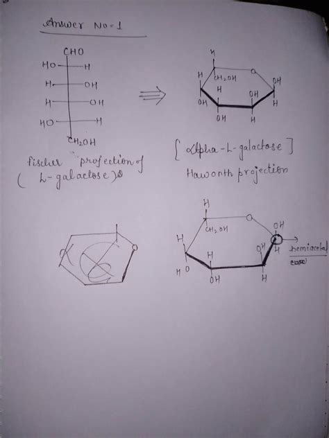 [Solved] draw haworth structure of alpha-L-galactose . circle the ...