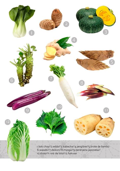 Japanese Vegetables | Food - Infographics | Pinterest