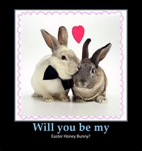 Cute Bunny Quotes. QuotesGram