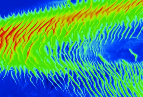 Bathymetric image acquired by MBES. | Download Scientific Diagram