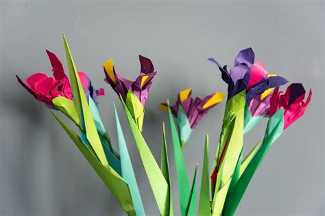 Decorate Your Home With Vibrant Origami Iris Flowers