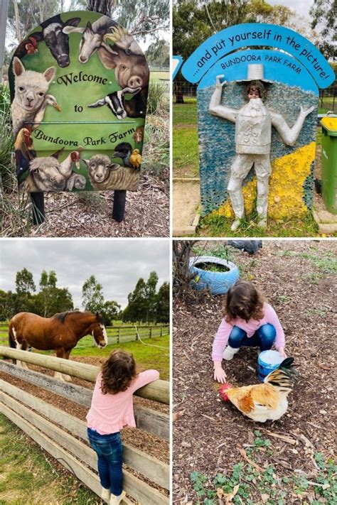 Bundoora Park Farm – Animal Farm Melbourne’s North - Mum's Little Explorers