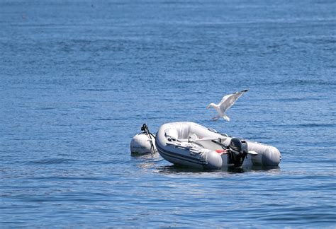 Best 6HP Outboard Motors That Will Make You Ready to Go - Boat Bub