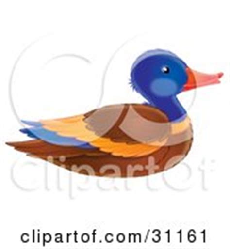 Coloring Page Outline Of A Duck Posters, Art Prints by - Interior Wall Decor #231397