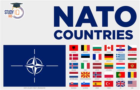 Nato - KierrinStoyan