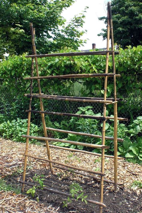 15 Easy DIY Cucumber Trellis Ideas - A Piece Of Rainbow