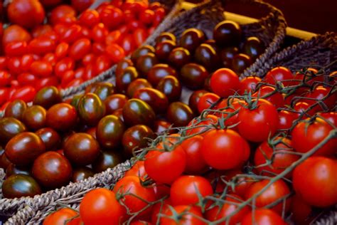 Tomato recipes - three starters from Spanish cuisine