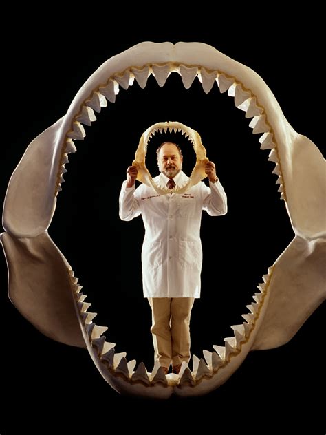 The Real Megalodon: Prehistoric Shark Behind Doc Uproar
