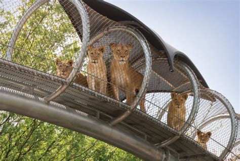 Philadelphia Zoo Reopens - 8 Things to Know