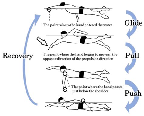 Basic Swimming Styles For Primary 3 | EOUA Blog