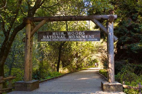 Muir Woods National Monument: The Complete Guide