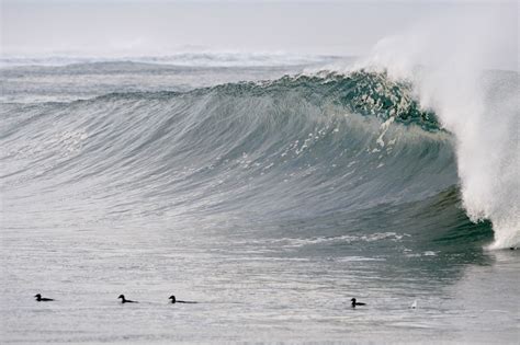 Sneaker waves: What to know about deadly waves