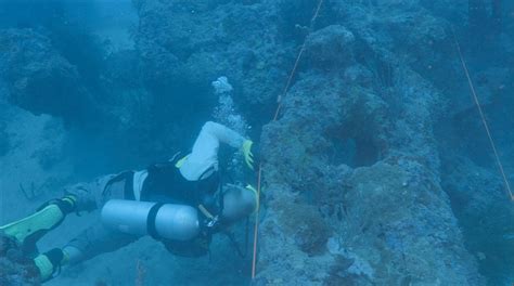 Is This Amelia Earhart's Plane? Debris from Wreck Found Off Papua New Guinea | Live Science