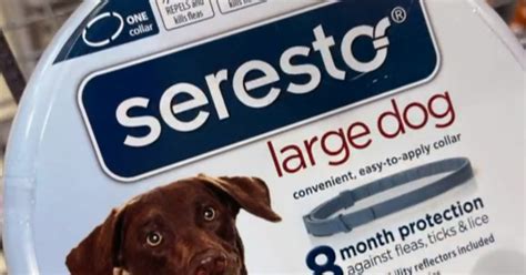 Seresto flea collars may be linked to nearly 1,700 pet deaths - CBS News