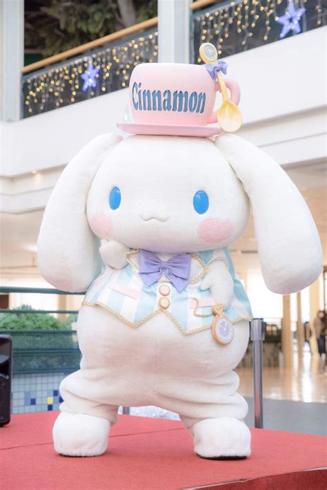 ☁️Cinnamoroll Cosplay☁️ | Cosplay Amino