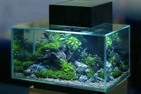 Aquarium Lighting Guide (Our Recommendation For Lighting System) - Aquaria Passion