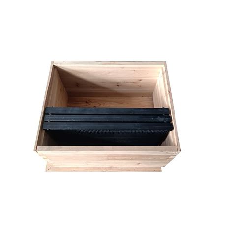 Plastic foundation sheet and plastic bee frame for Apis mellifera ...