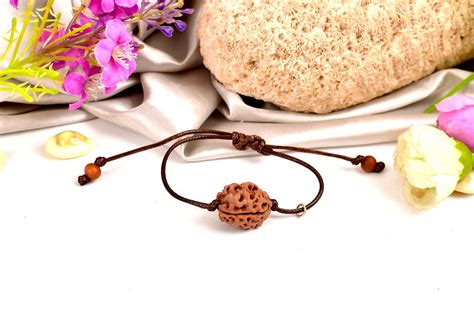 2 Mukhi Rudraksha | Spiritual Gift