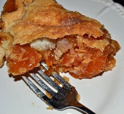 The 25+ best Apricot pie recipe using canned apricots ideas on Pinterest