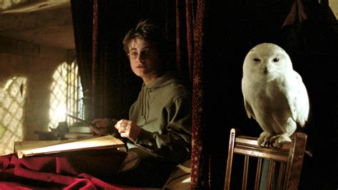 A Study Just Proved Why You Never Got Your Hogwarts Letter | Teen Vogue