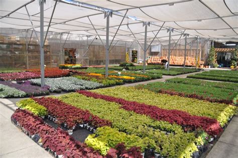 Charlotte's Best Nurseries and Plant Centers