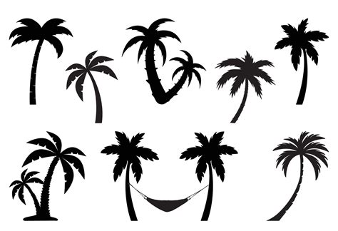 palm tree silhouette bundle 22039417 Vector Art at Vecteezy