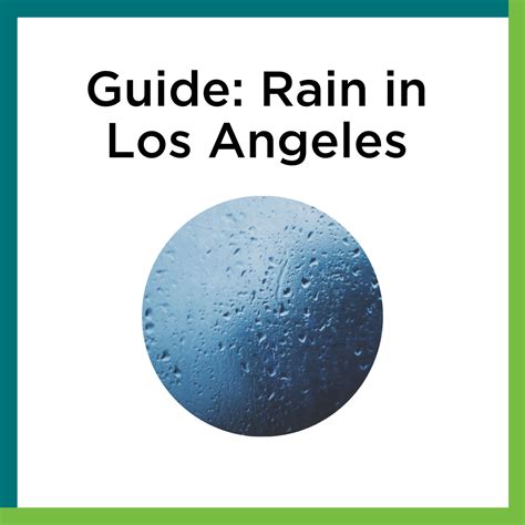 Guide: Rain in Los Angeles – Nature for All