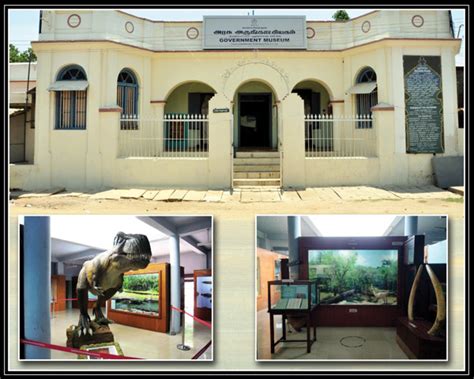 Pudukkottai | Government Museum