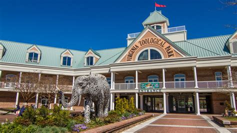 Virginia Zoo makes changes while prepping to reopen | 8News