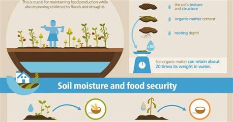 What is Soil Moisture