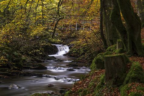 Birks of Aberfeldy Waterfall by Irishkate | ePHOTOzine