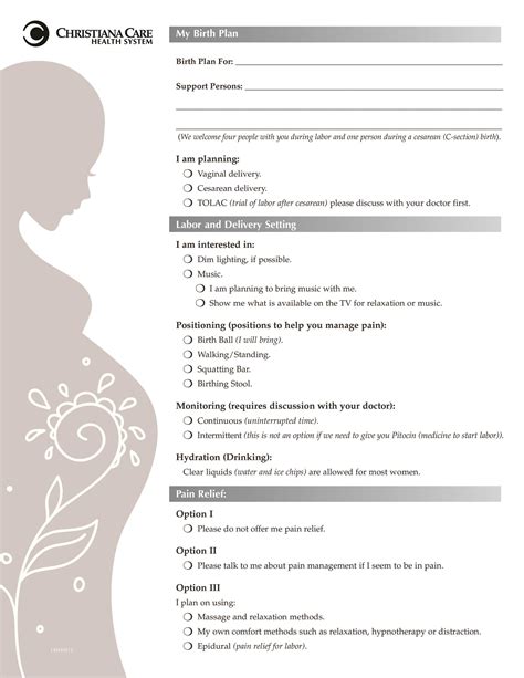 47+ Printable Birth Plan Templates [Birth Plan Checklist] - Template Lab