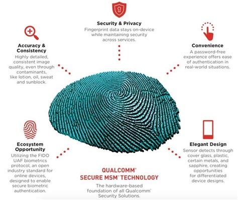 About Fingerprint Recognition | Wrytin