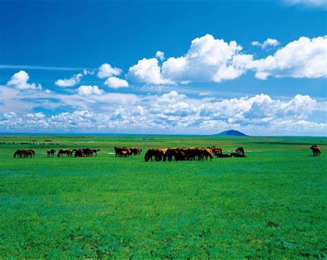 中国最美的六大草原|画廊|中国国家地理网