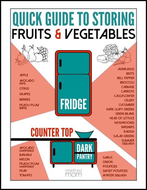 Quick Guide To Storing Fruits And Vegetables Free Printable