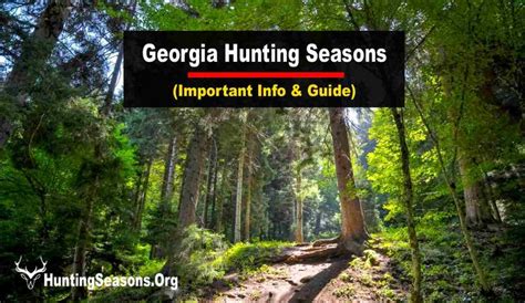 Georgia Hunting Season 2024-2025 [Updated Schedule!]