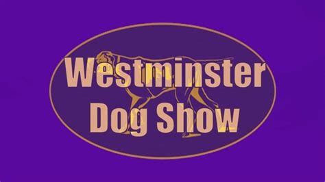 How to Watch 2023 Westminster Dog Show Live Stream Online - Dog Show TV