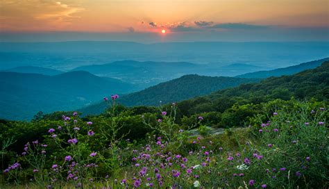 Things to Know About Visiting Shenandoah National Park