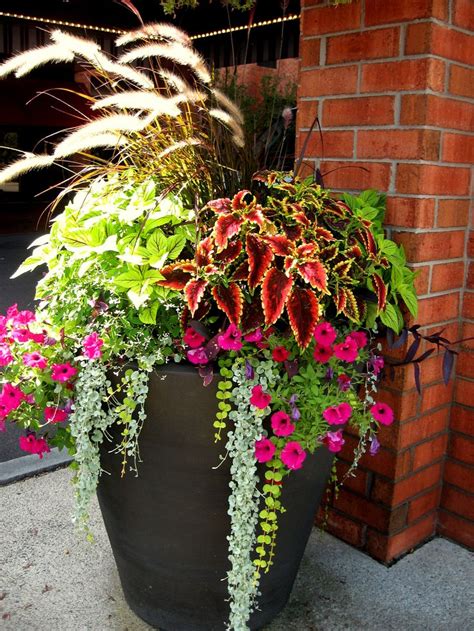 Pin by Capital InteriorScapes on Gardening | Front porch flowers ...